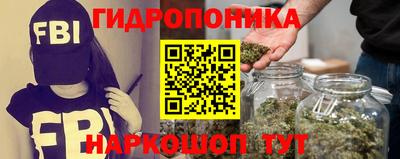 экстази Можга