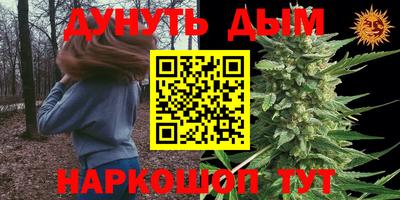 соль ск Моздок