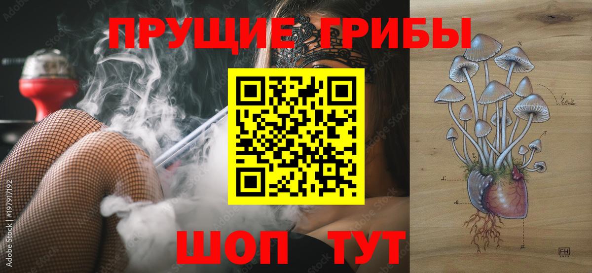 Чапаевск  Галлюциногенные грибы Magic Shrooms  сколько стоит  Галлюциногенные грибы MAGIC MUSHROOMS  Вход с VPN 